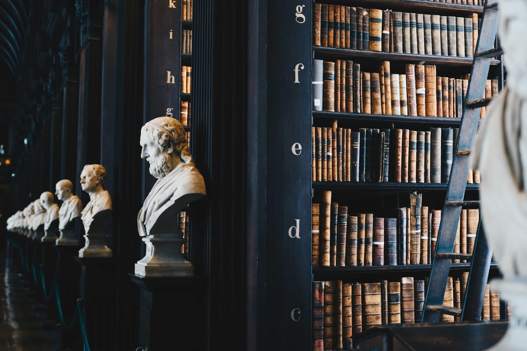 Historische Bibliothek mit Bücherregalen und Marmorbüsten